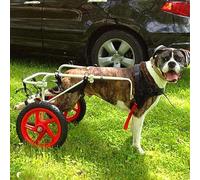 Passeggino per cani con carrozzina posteriore per animali domestici, passeggino per carrozzina posteriore adatto a cani di grossa taglia, taglia grande, extra large, taglia media (taglia: L, XL)