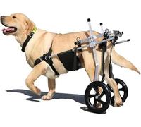 Passeggino regolabile per animali domestici con ruote rimovibili per supporto per le gambe posteriori, carrello portatile per anca e gambe, ideale per animali domestici disabili o feriti