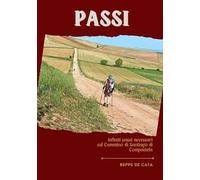 Passi. Infiniti passi necessari sul cammino di Santiago di Compustela