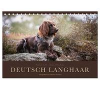 Passion Jagdhund - Deutsch Langhaar (Tischkalender 2026 DIN A5 quer), CALVENDO Monatskalender: Deutsch Langhaar - Ein Leben neben der Jagd