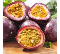 passione - Aiuole rialzate biologiche per l' passione giardino sul balcone colonnari, rampicanti antiche varietà di interno 250semi