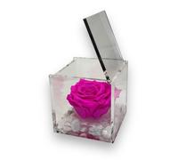 Passionefiori.it Premium-Rose Cubo Rosa Stabilizzata 10cm Vera Con Marmo di Carrara, Rosa Eterna, Idea Regalo per Lei, Natale (Fucsia, 10cm)