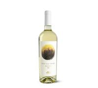 Passo Alle Tremiti Molise Falanghina 2024 75 cl. 13 Vol.