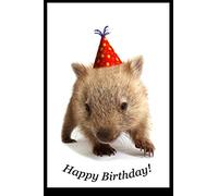 Password Book A wombat happy birthday. Greeting Card: A wombat happy birthday. Greeting Cardpassword log book and internet password book organizer, ... A wombat happy birthday. Greeting Card gift,