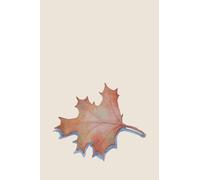 Password Book: Pocket Size Password Book | keep your passwords safe | space to write site name, username, password & a note | 4”x6” | 100 pages