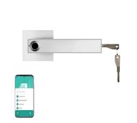 Password for impronta digitale Smart Lock elettronica con serratura biometrica di sicurezza for porta digitale Serratura for porta appartamento della camera da letto della famiglia(Silver)