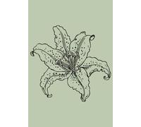 Password Log Book: 200+ Passwords, Alphabetical Tabs for Easy Access, Anonymous Design| 6x9 size |Great for Logins, Usernames and more