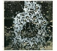 Past Lives - Strange Symmetry