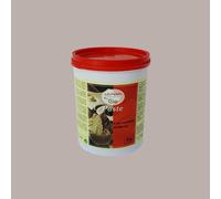 Pasta Gusto Croccantino al Rhum ideale per Gelato Dolci Leagel 1,2 Kg
