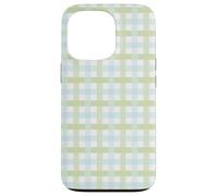 Pastello Green Gingham Plaid Pattern Spring a scacchi Design Custodia per iPhone 13 Pro