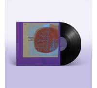 Pastels The Last Great Wilderness (Vinyl LP) 12" Album