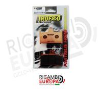 PASTICCHE TROFEO ANTERIORI TRIUMPH TROPHY 1200 2000- 1200CC OGNIBENE 43020801