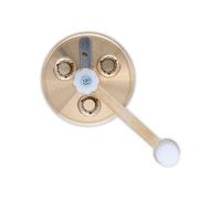 Pastidea - Trafila in Bronzo Penne Rigate compatibile con Kenwood. Utilizzando l'adattatore, compatibile con Philips Pasta Maker Avance, Viva, Serie 7000, e altri.