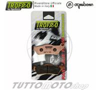 Pastiglie DUCATI Multistrada 1260 S Pikes Peak 2018 / Posteriori Sinter TROFEO