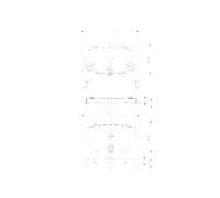 Pastiglie Freno PP873NP GDB3368 GDB3170 GDB1010 2155301 55800-69D00 029412