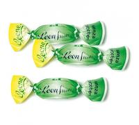 Pastiglie Leone Leonsnella Menta 500 grammi