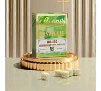 Pastiglie Leone - Scatoletta Pastiglie Mojito da 27g