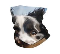 Pastor Border Collie Ghetta da Collo Protezione UV Passamontagna Multiuso Fascia per Capelli per Uomo Adulto Sports 25X50Cm