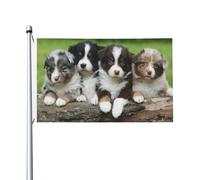 Pastore australiano, cuccioli piccoli, quartetto, occhielli, bandiera da giardino, esterni, cortile, patio, decorazione per la casa, 152 cm x 91 cm