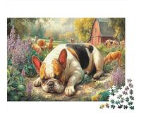 Pastore Australiano nella Fattoria Puzzle in cartone Beagle che dorme nel prato illuminato dal sole Puzzle premium per anziani allenamento cerebrale 70x50cm/1000 pezzi