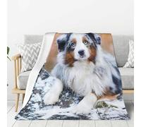 Pastore australiano, neve, inverno, bellissimi cani, coperta di flanella 80"x60" super morbida, spessa, comoda e accogliente per il divano