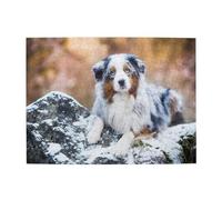 Pastore australiano, neve, inverno, bellissimi cani, puzzle da 500 pezzi per adulti - Puzzle in legno per adulti e anziani