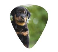 Pastore francese Beauceron cucciolo nero carino,12 pezzi di plettri per chitarra, 3 plettri di diverso spessore per chitarra acustica, basso, ukulele