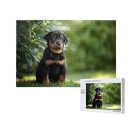 Pastore francese Beauceron cucciolo nero carino,Puzzle in legno da 1000 pezzi per famiglie, puzzle per adulti e adolescenti