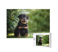 Pastore francese Beauceron cucciolo nero carino,Puzzle in legno da 300 pezzi per famiglie, per adulti e adolescenti, decorazioni per la casa