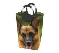 Pastore tedesco felice stampato, Cesto portabiancheria pieghevole, Grande contenitore portaoggetti resistente con manici, 50 litri