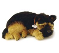 Pastore Tedesco - German Shepherd - Il cucciolo che respira - PERFECT PETZZZ