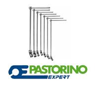 PASTORINO 84 CHIAVE T CARDANO SNODABILE BUSSOLA FEMMINA ESAGONALE da 9 a 20 mm