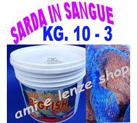 pastura da barca in rete richiamo pesci mare sarde sangue pasturazione tonno