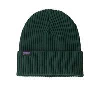 Patagonia Fisherman Rolled beanie Cascade green