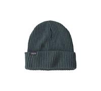Patagonia fisherman s rolled unisex beanie green