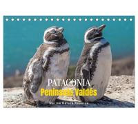 Patagonia, Peninsula Valdés - Marine Nature Reserve (Desk Calendar 2026 DIN A5 landscape), CALVENDO 12 Month DeskCalendar: Where Wildlife Rules the Shore