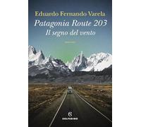 Patagonia route 203. Il segno del vento