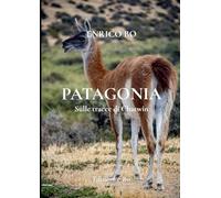 Patagonia – Sulle tracce di Chatwin – Lulu
