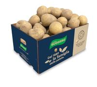 Patate RUGGIERO di Montagna sfuse10KG box