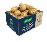 Patate RUGGIERO PER FRITTURE Box 3X10 KG By