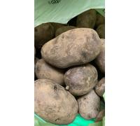 PATATE VIOLA BERGERAC SEMENTE SEME CUCINA CHEF GOURMET ORTO BIO 3kg RICETTE CENE
