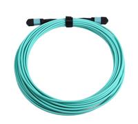 Patch MPO Multimodale OM3 MPO A 12 Core per Modulo 100G/40G G3J45949