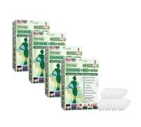 Patch Nano Microneedle Dimagrante Moringa 10-EN-1 Patch Ingredienti Naturali Patch dimagrante per uomo e donna