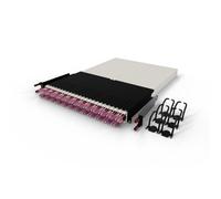 PATCHBOX 30RU/OM4/LC-SC - Kabel - Netzwerk (PONE30OM412)