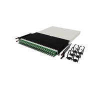 patchbox.one by PATCHBOX / 1,8m / UTP / RJ-45 / PONE30UTPGR
