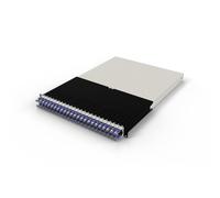 PATCHBOX Pannello patch ONE 30 RU Cat.6a 24 porte STP per rack 19" Viola 1,8 m