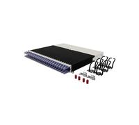 Patchbox ONE 8 RU Cat.6a - Pannello patch a 24 porte con sistema di gestione dei cavi retrattile per rack da 19", include cavi piatti e cassette da 10 GB, facile configurazione di rete e server (UTP