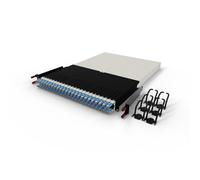 Patchbox ONE Cat.6a 30 RU - Pannello patch a 24 porte con sistema di gestione cavi retrattile per rack da 19", inclusi cavi piatti e cassette da 10 GB, facile installazione di rete e server (STP, blu