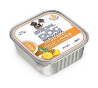 Patè cane pollo e ananas SPECIAL DOG EXCELLENCE ( 300 gr ) 6024