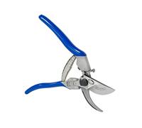 PATERLINI Forbici Potatura Professionali - Cesoie da Giardinaggio Affilate per Potatura Facile, Ø 20mm di Taglio - Attrezzi Giardinaggio, Forbice da Frutteto per Innesto e Tagliare Rami (Master)